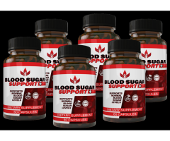 Blood Sugar Support +