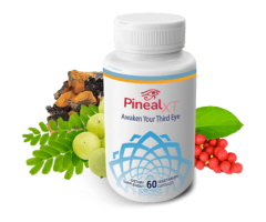 Pineal XT - vitamins for brain health